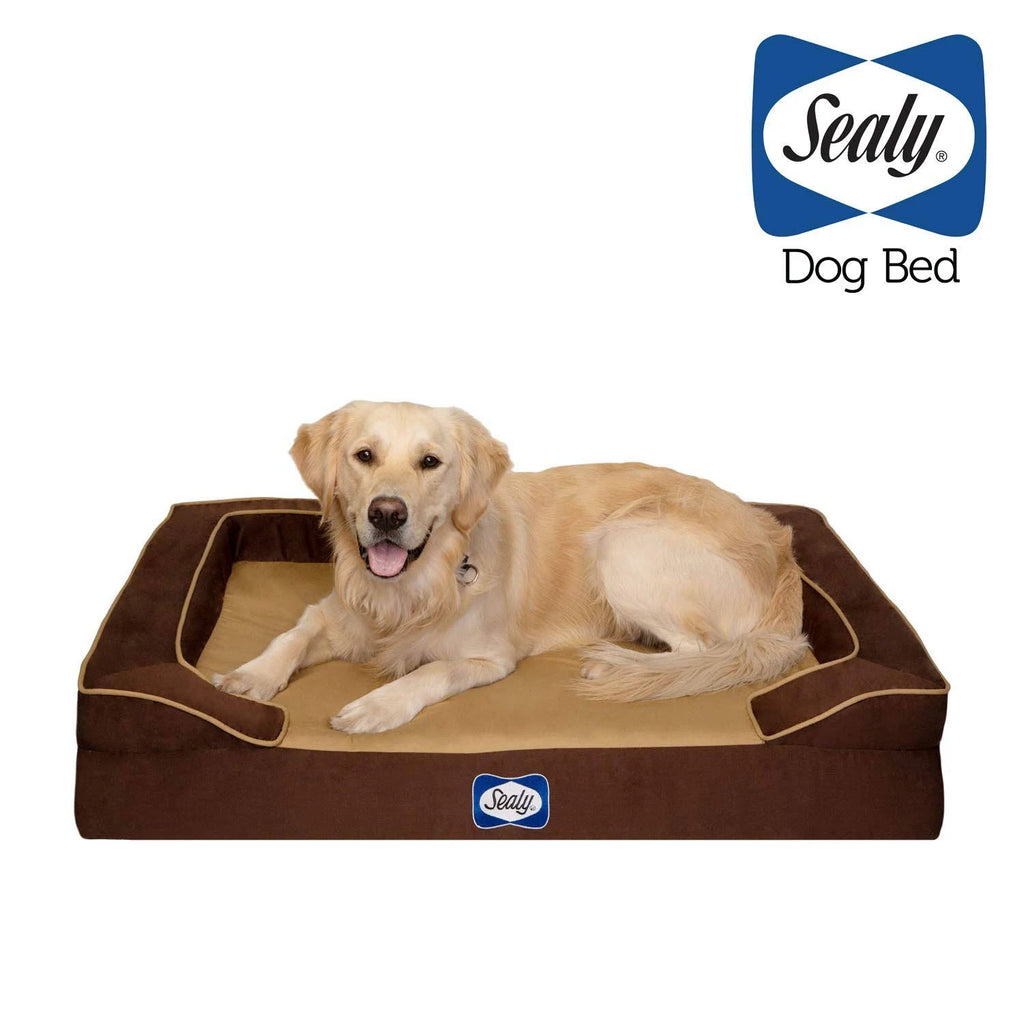 Large Orthopedic Dog Bed V957681