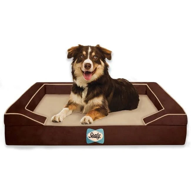 Large Orthopedic Dog Bed V957681