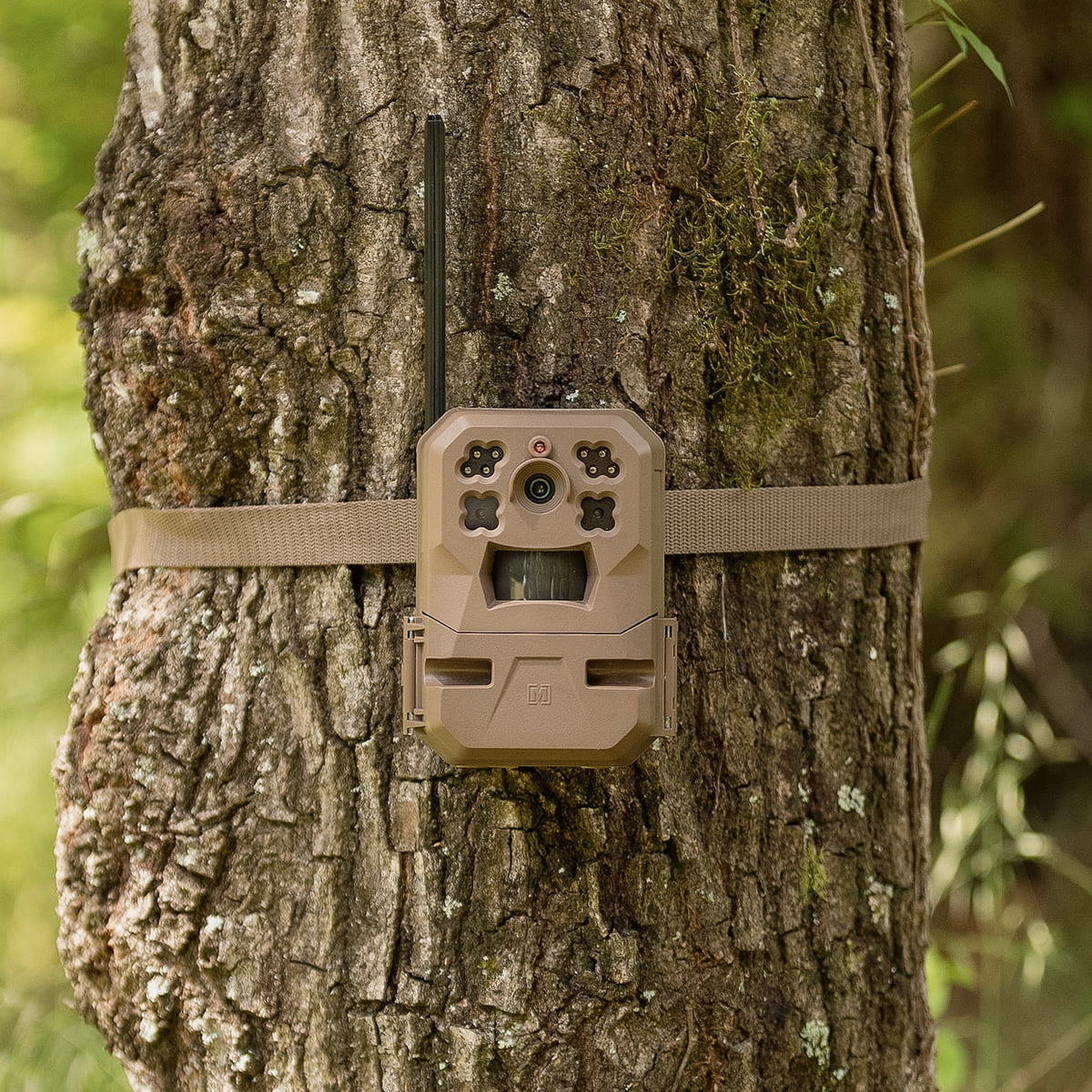 33MP Cellular Trail Camera with Built-in Memory (2-Pack) G244287