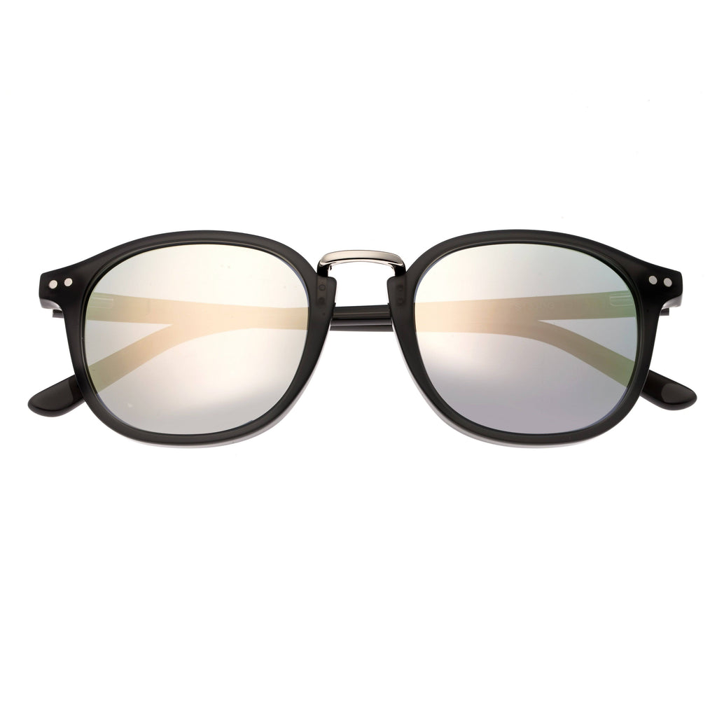 Navy Silver Polarized Sunglasses V2513