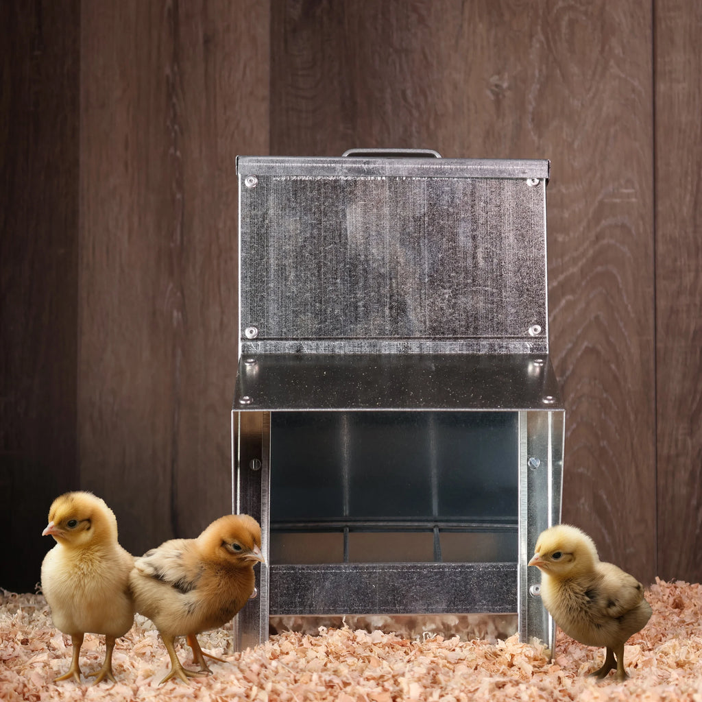 Galvanized Chicken Feeder U438