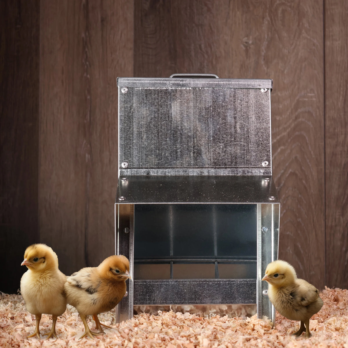Galvanized Chicken Feeder U438
