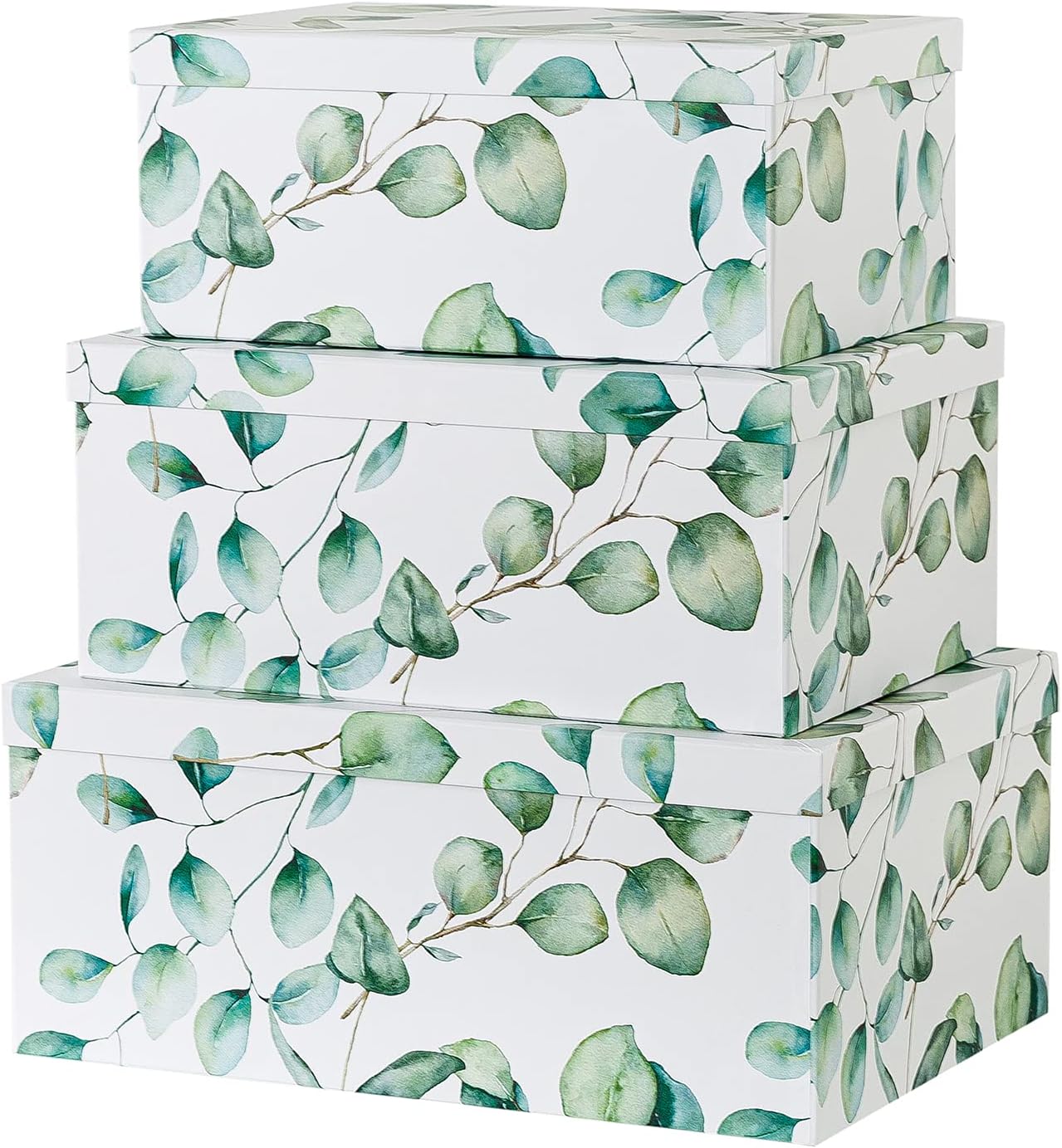 Autumn Wonders Set of 3 Botanical Paperboard Nesting Boxes Z717