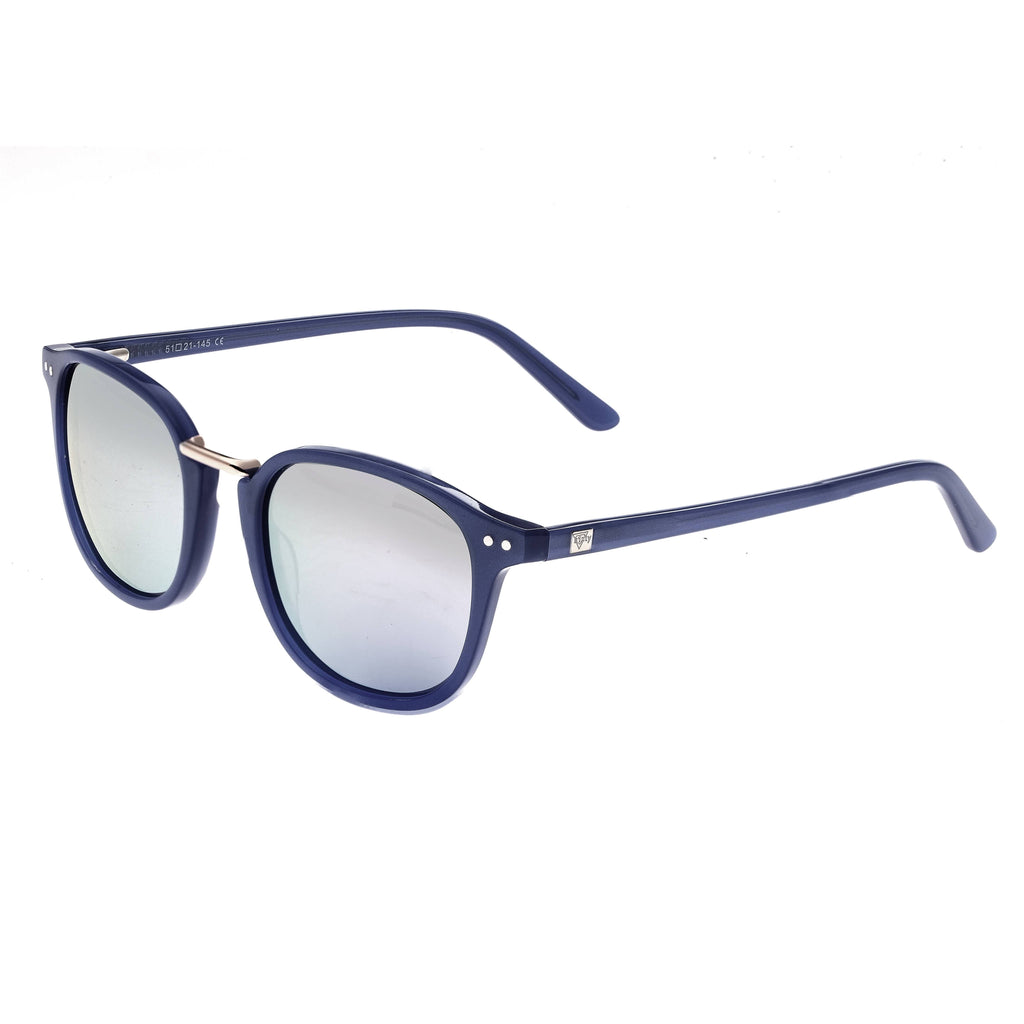 Navy Silver Polarized Sunglasses V2513