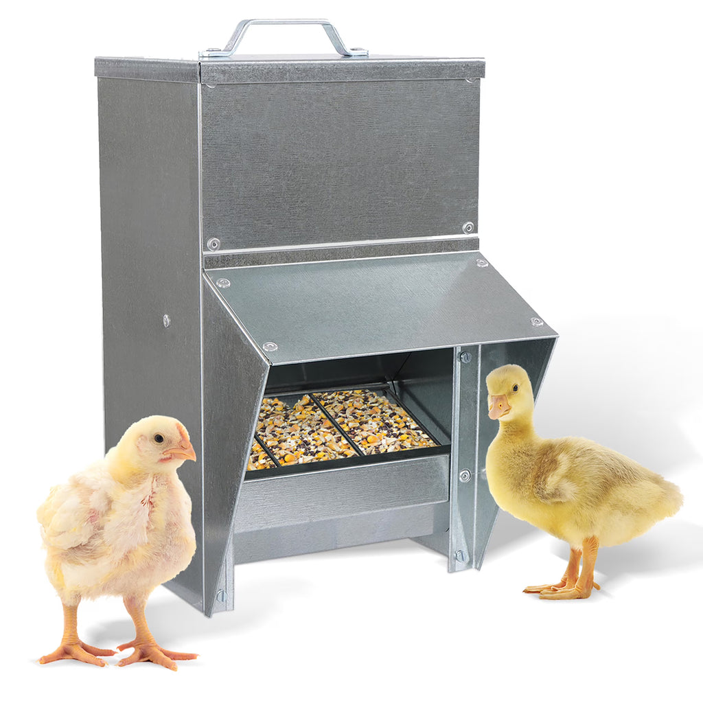 Galvanized Chicken Feeder U438