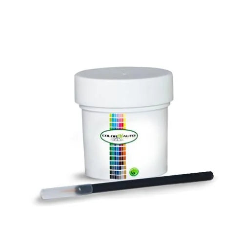 13 Single Stage Automotive Paint 1 Oz Bottle D637