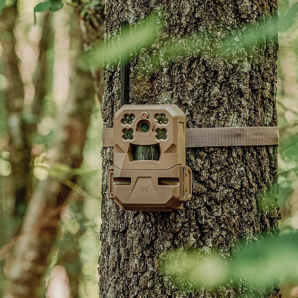 33MP Cellular Trail Camera with Built-in Memory (2-Pack) G244287