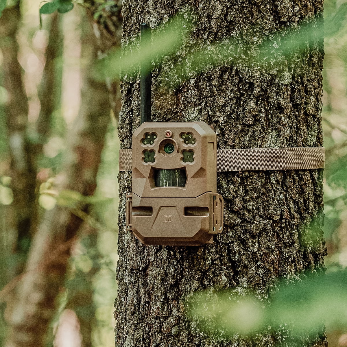 33MP Cellular Trail Camera with Built-in Memory (2-Pack) G244287