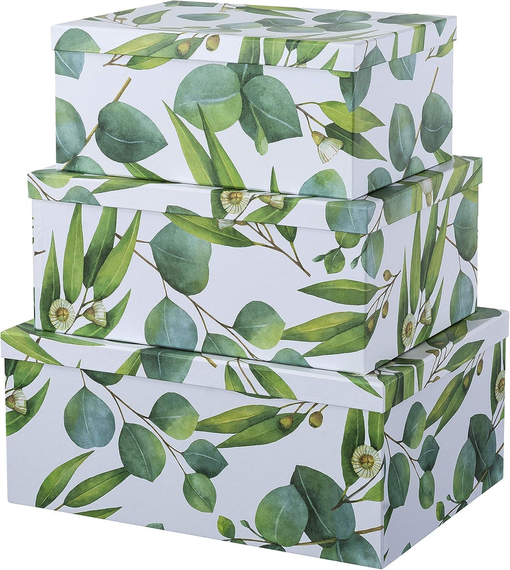 Autumn Wonders Set of 3 Botanical Paperboard Nesting Boxes Z717