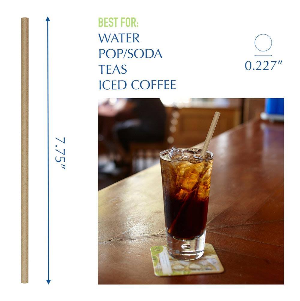 4800 Ct. Kraft Paper Straws R75586