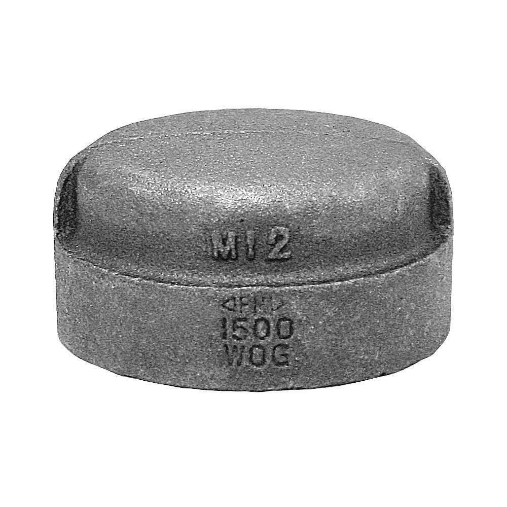 Malleable Iron Cap Class 150 3-1/2-in N697