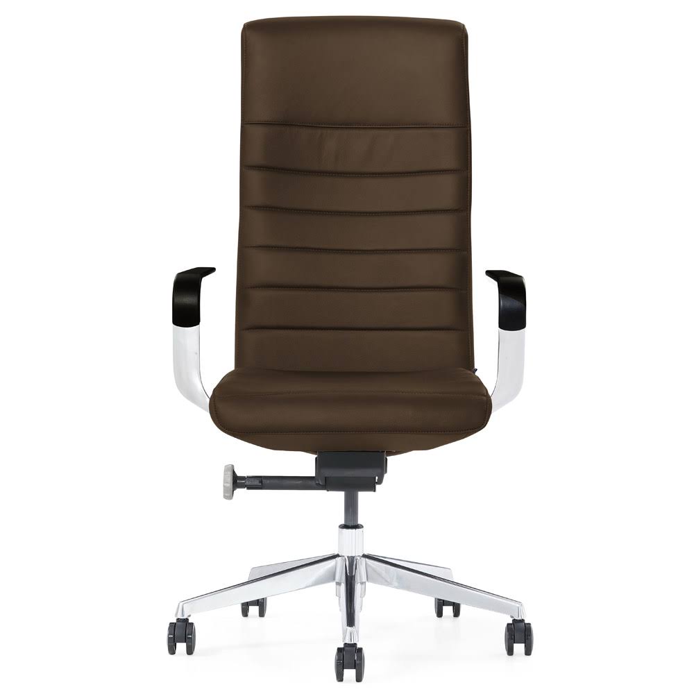 Modern Dark Brown Leather Executive Chair Z76833