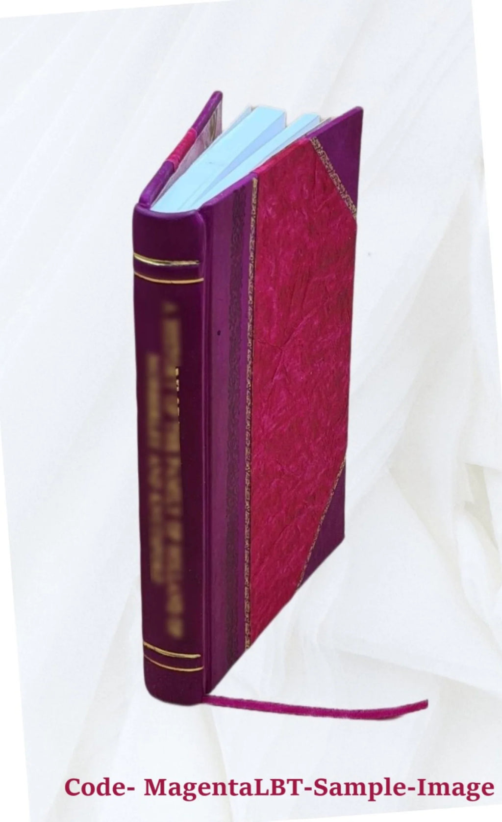 Sir Walter Scott and the border minstrelsy 1910 Leather Bound Z5313