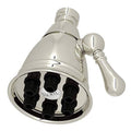 Polished Nickel Adjustable Showerhead W806