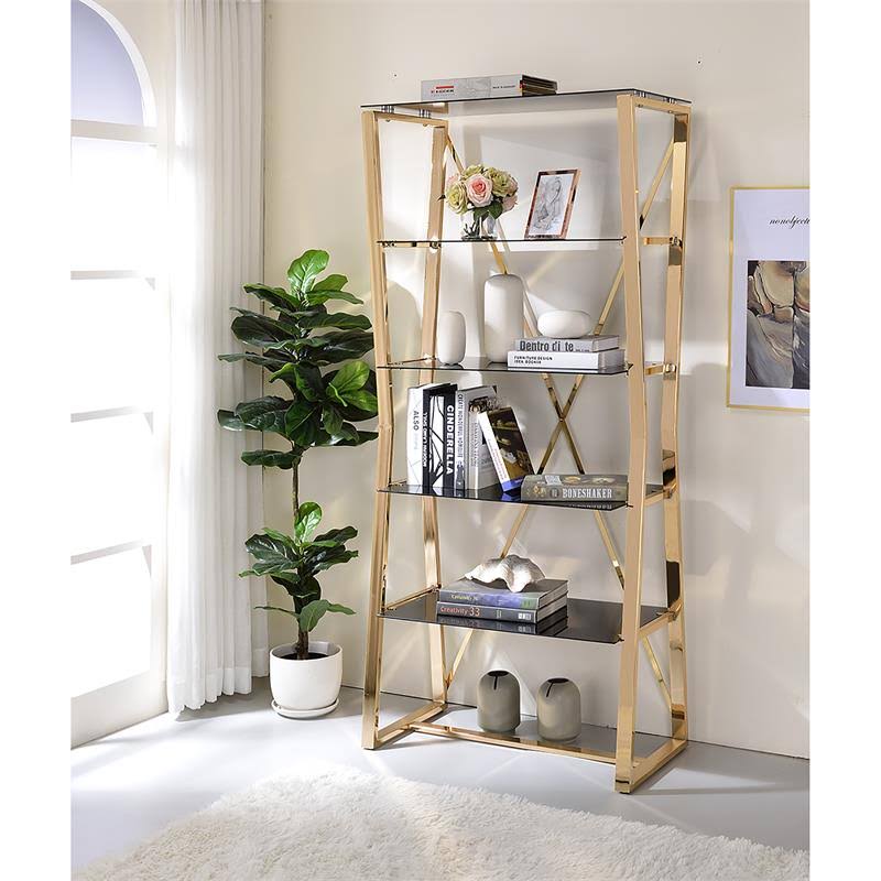Gold Glass Shelves Bookcase J21658