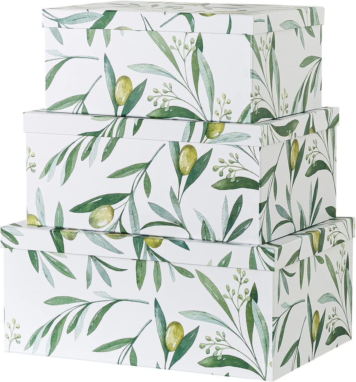 Autumn Wonders Set of 3 Botanical Paperboard Nesting Boxes Z717