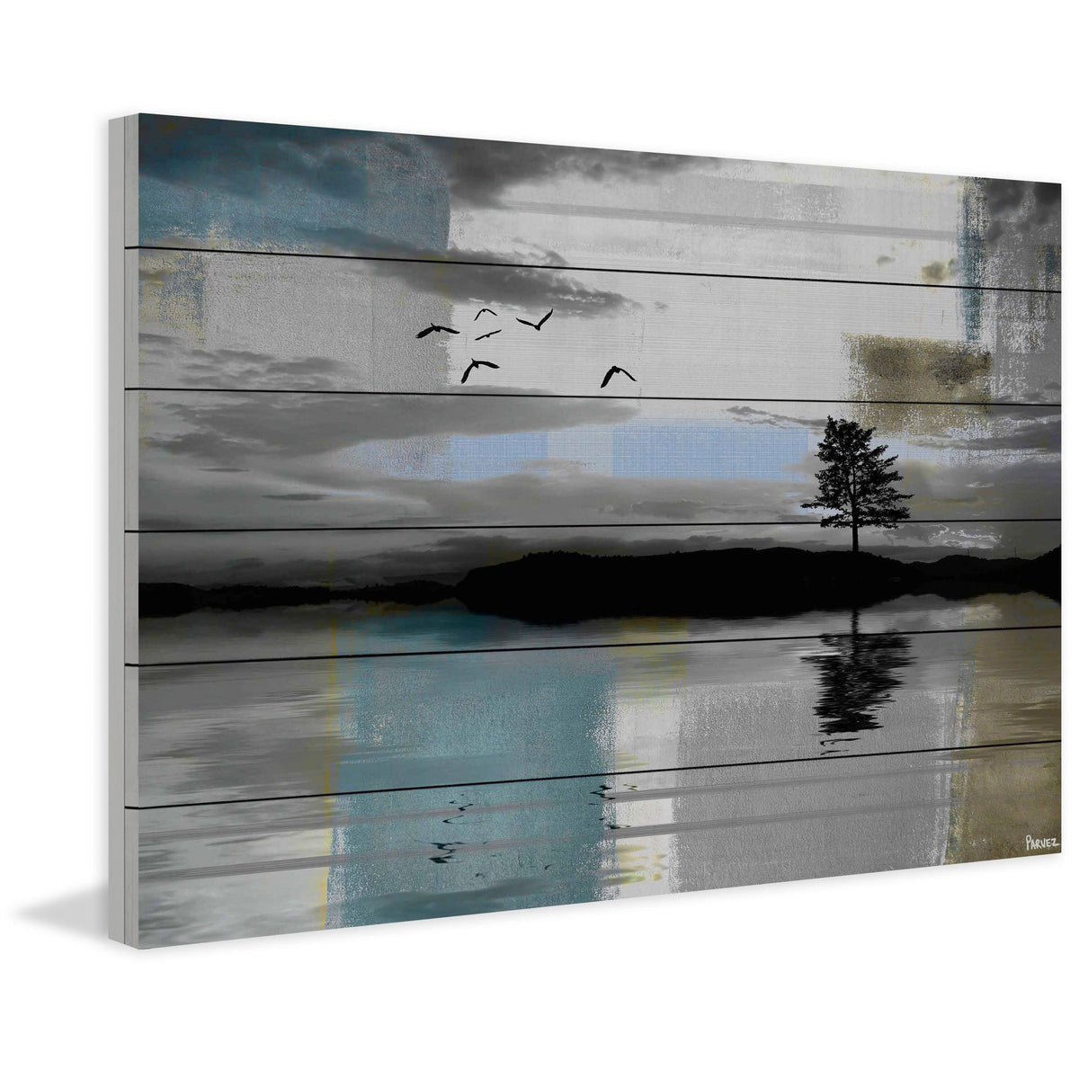 Tree Reflection Print on White Wood 24 x 16 O6019