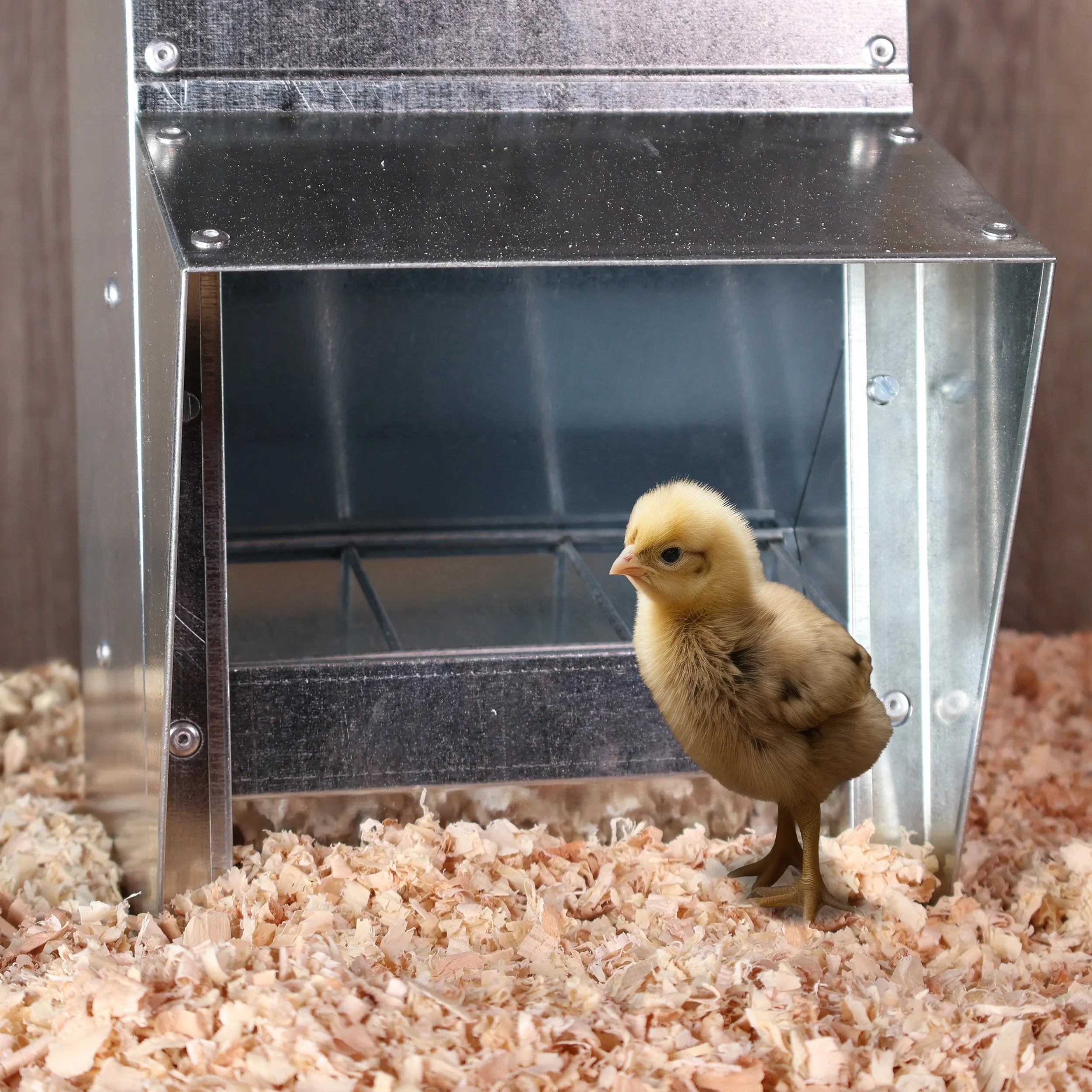 Galvanized Chicken Feeder U438