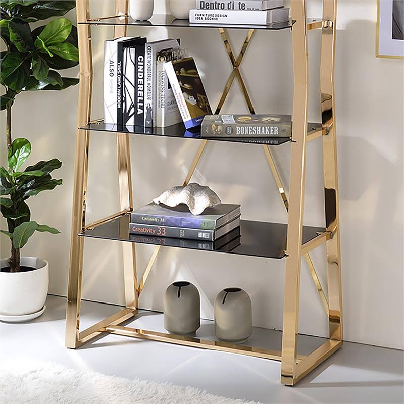 Gold Glass Shelves Bookcase J21658
