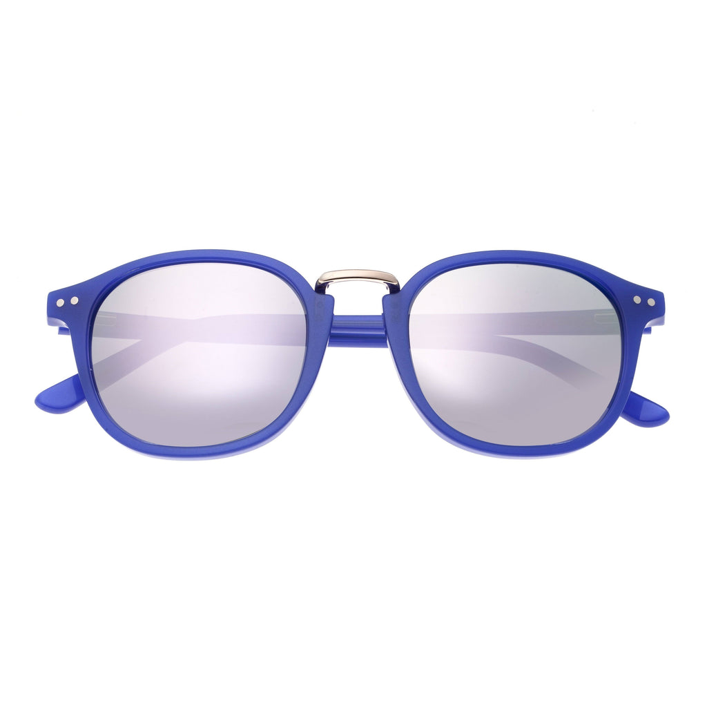Navy Silver Polarized Sunglasses V2513