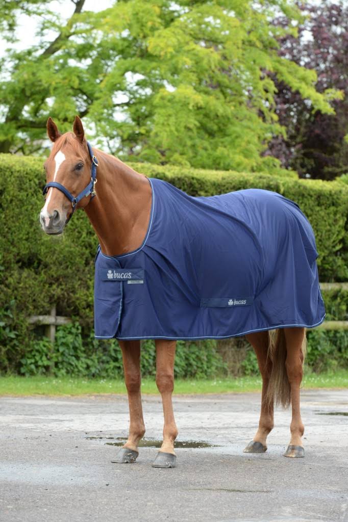 Navy Silver Horse Cooler F962994