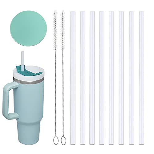 8 PCS Stainless Steel Straw 12 inch H191686