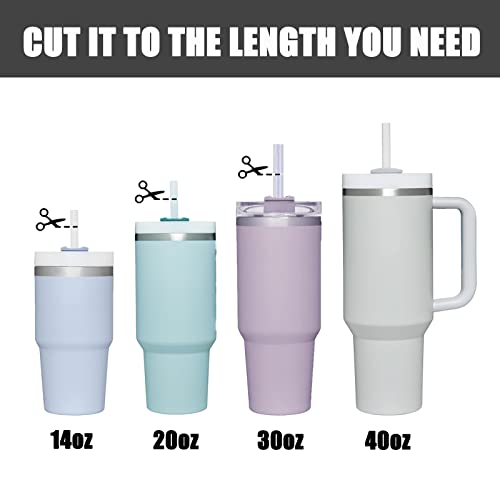 8 PCS Stainless Steel Straw 12 inch H191686