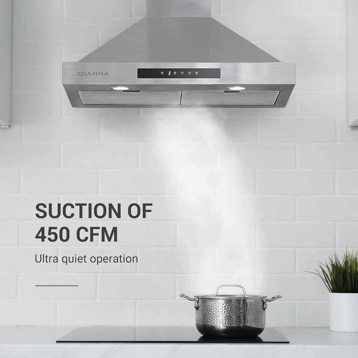 30 inch 450 CFM Stainless Steel Vent Hood T593