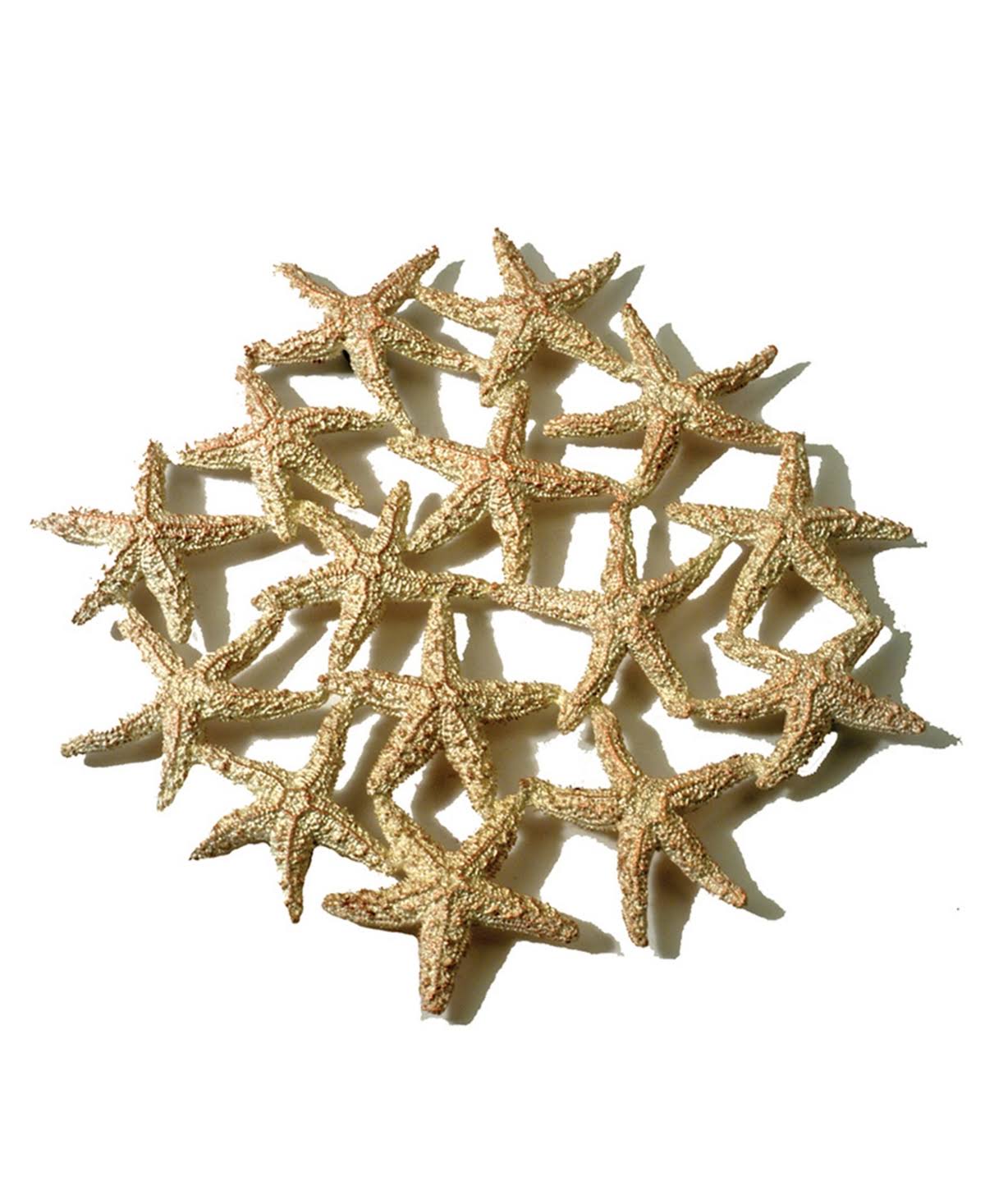 Gold Starfish Trivet N12554