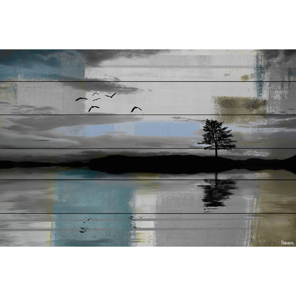 Tree Reflection Print on White Wood 24 x 16 O6019