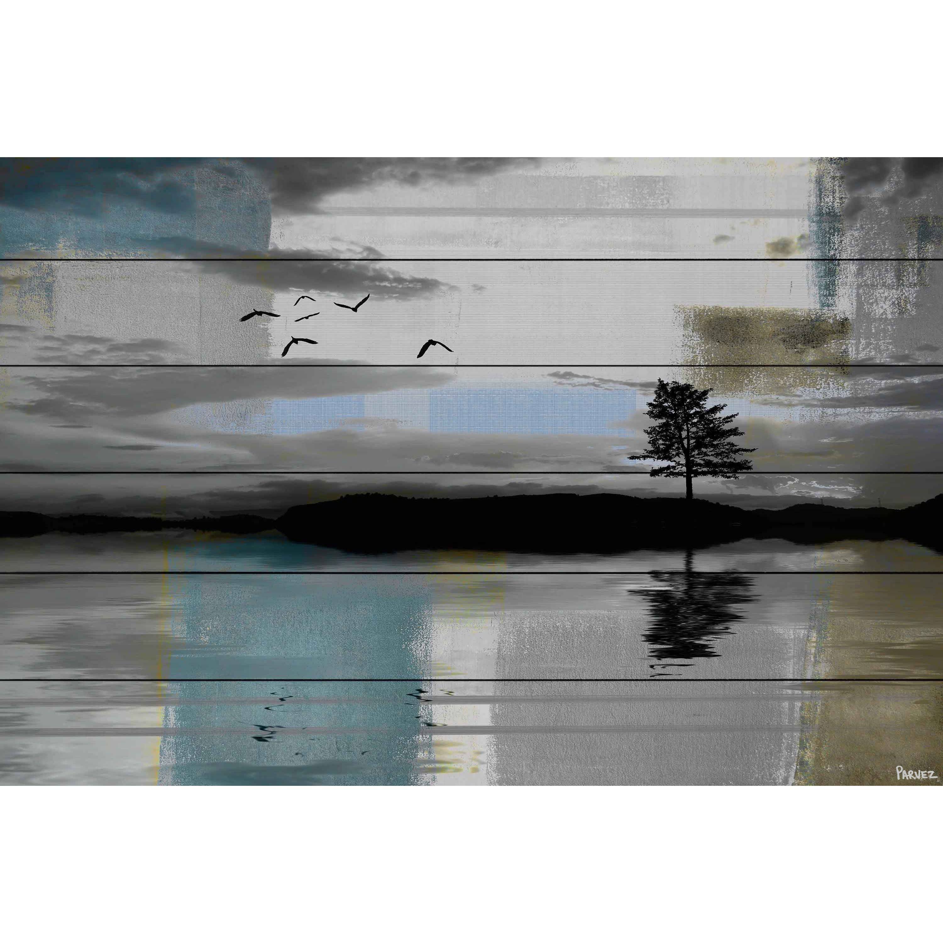 Tree Reflection Print on White Wood 24 x 16 O6019