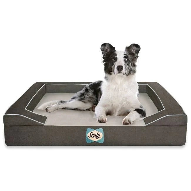 Large Orthopedic Dog Bed V957681