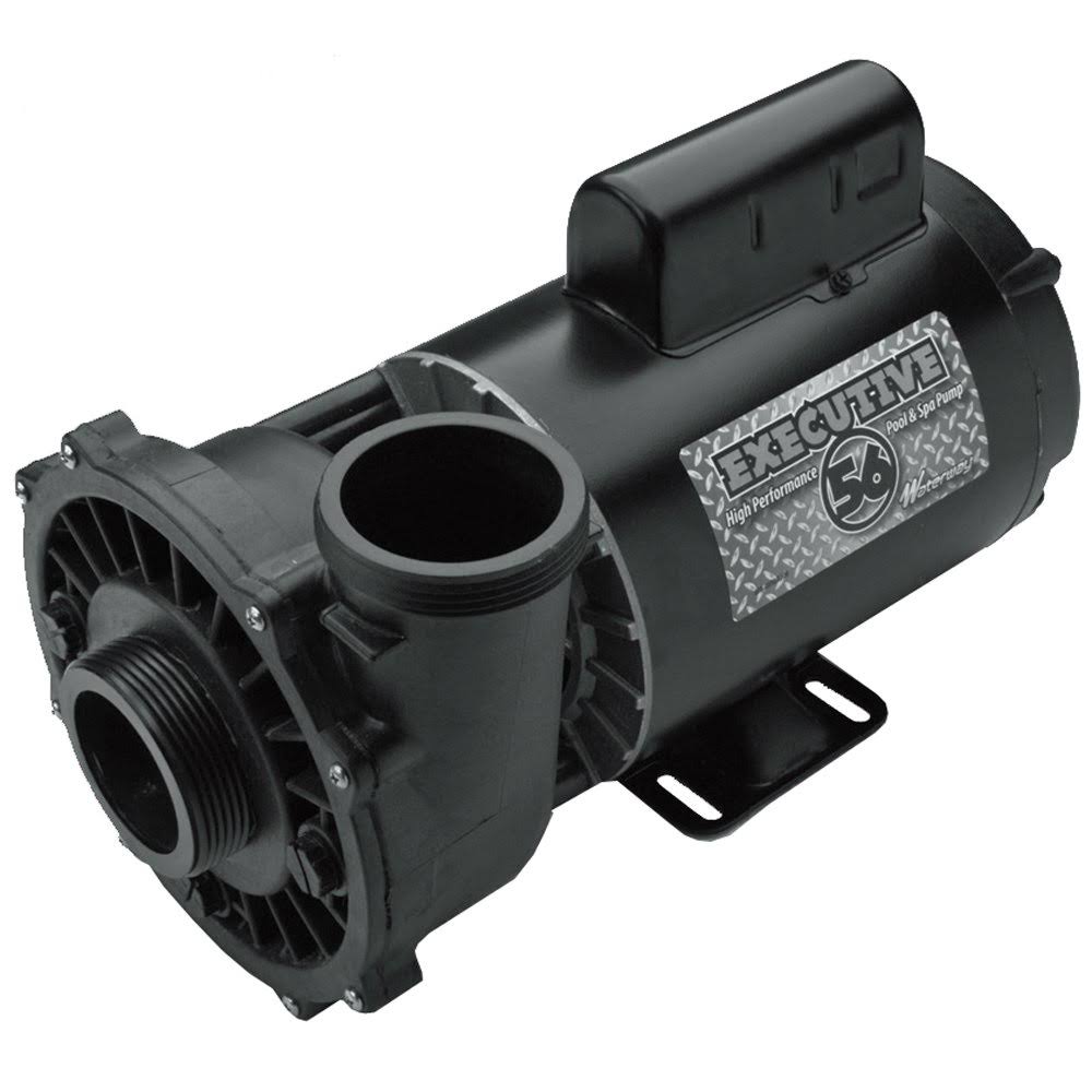 56 Frame 3HP 230V 2 Speed Spa Pump V744236