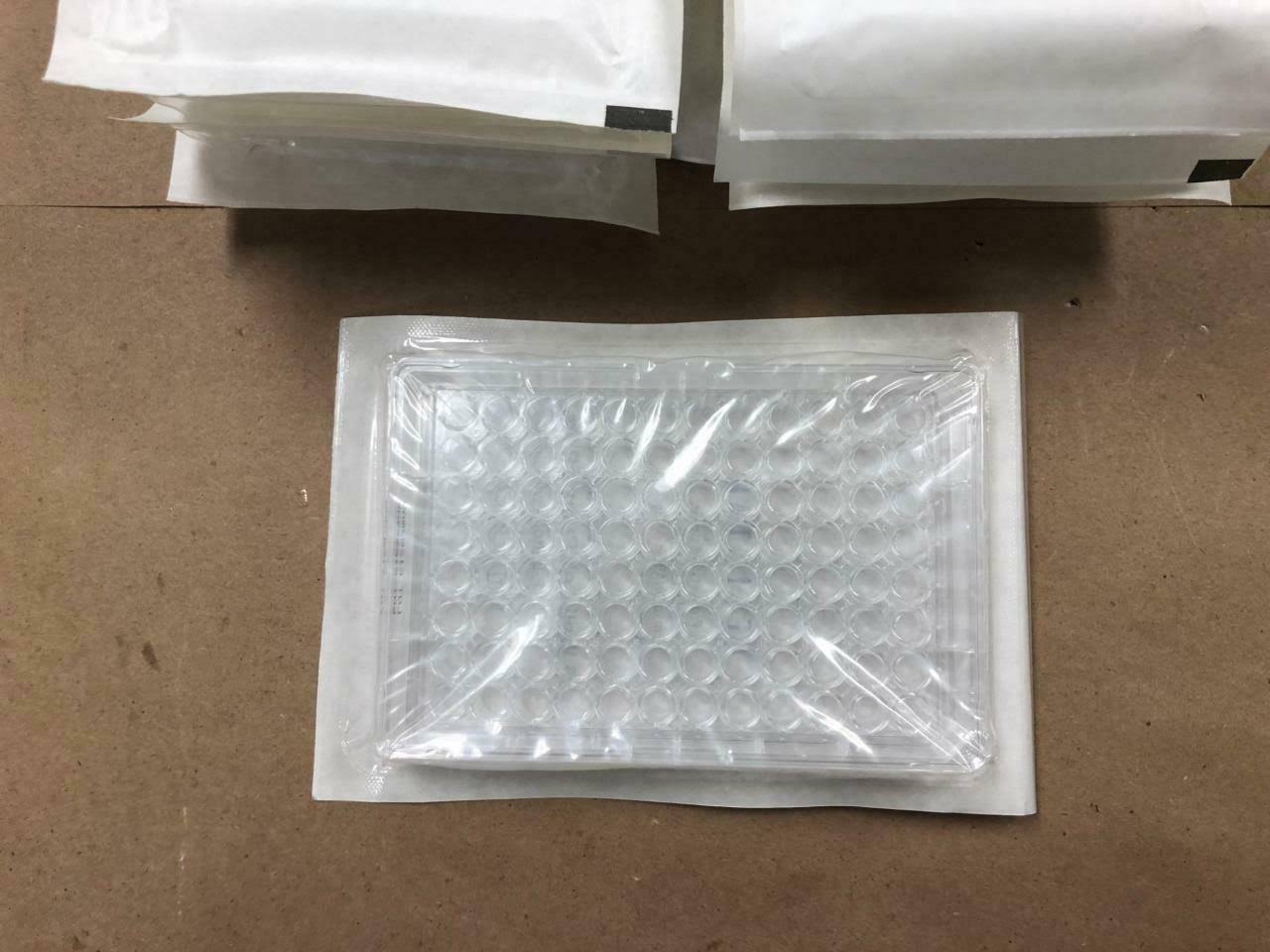 Clear Polystyrene 96 Well Microplate with Lid, TC Treated, Sterile, Flat Bottom G79963