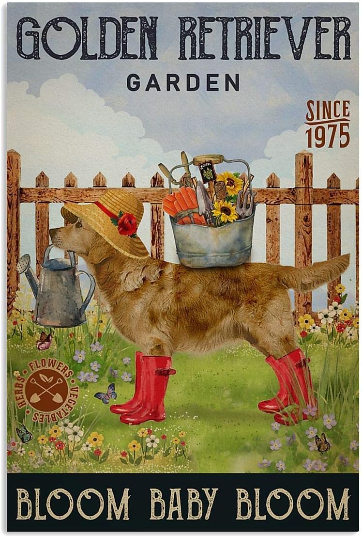 Retro Metal Tin Sign 8x12 inches M681315