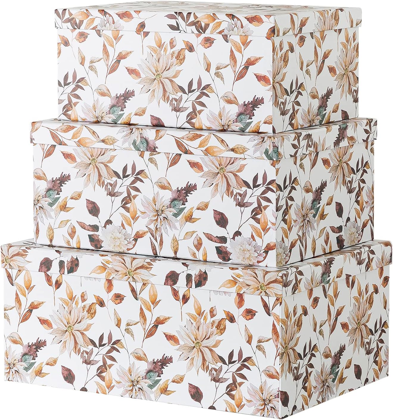 Autumn Wonders Set of 3 Botanical Paperboard Nesting Boxes Z717