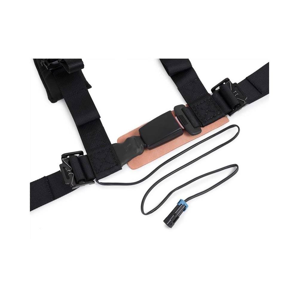 2 inch 4 Point Harness P653