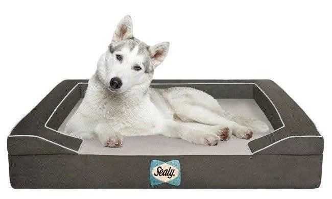 Large Orthopedic Dog Bed V957681