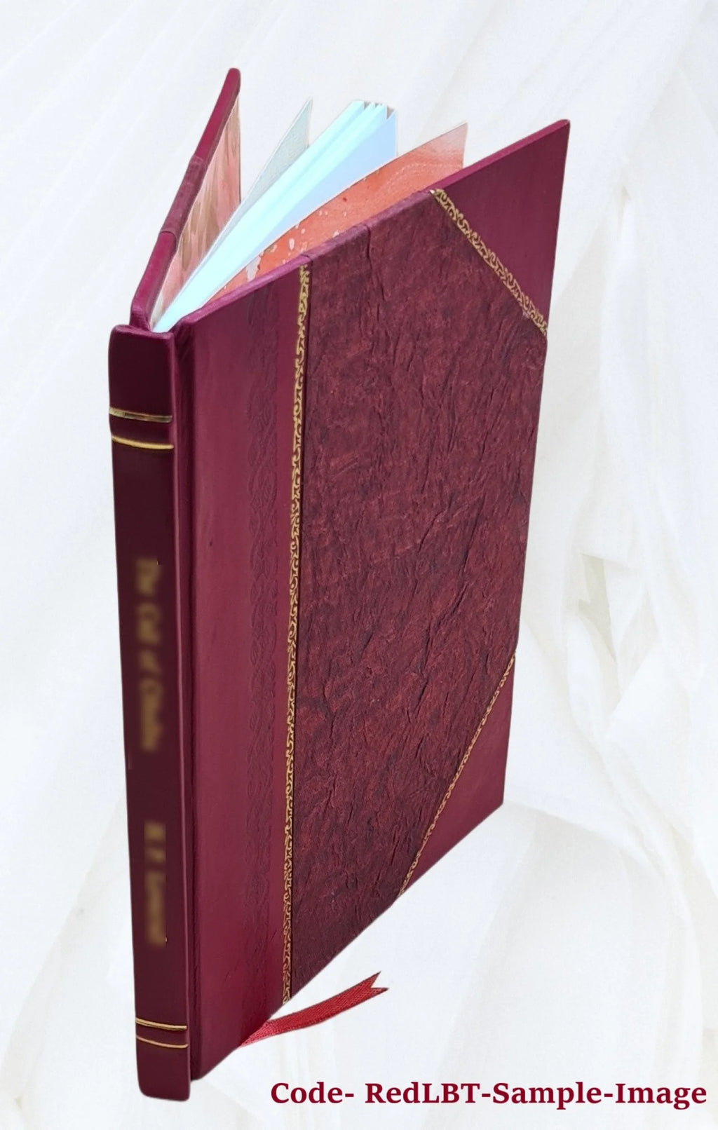 Sir Walter Scott and the border minstrelsy 1910 Leather Bound Z5313