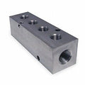 Stainless Steel Manifold NPT 3-7/8 in L E405620