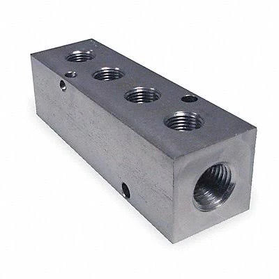 Stainless Steel Manifold NPT 3-7/8 in L E405620