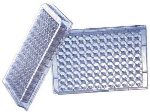 Clear Polystyrene 96 Well Microplate with Lid, TC Treated, Sterile, Flat Bottom G79963