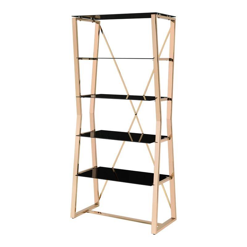 Gold Glass Shelves Bookcase J21658
